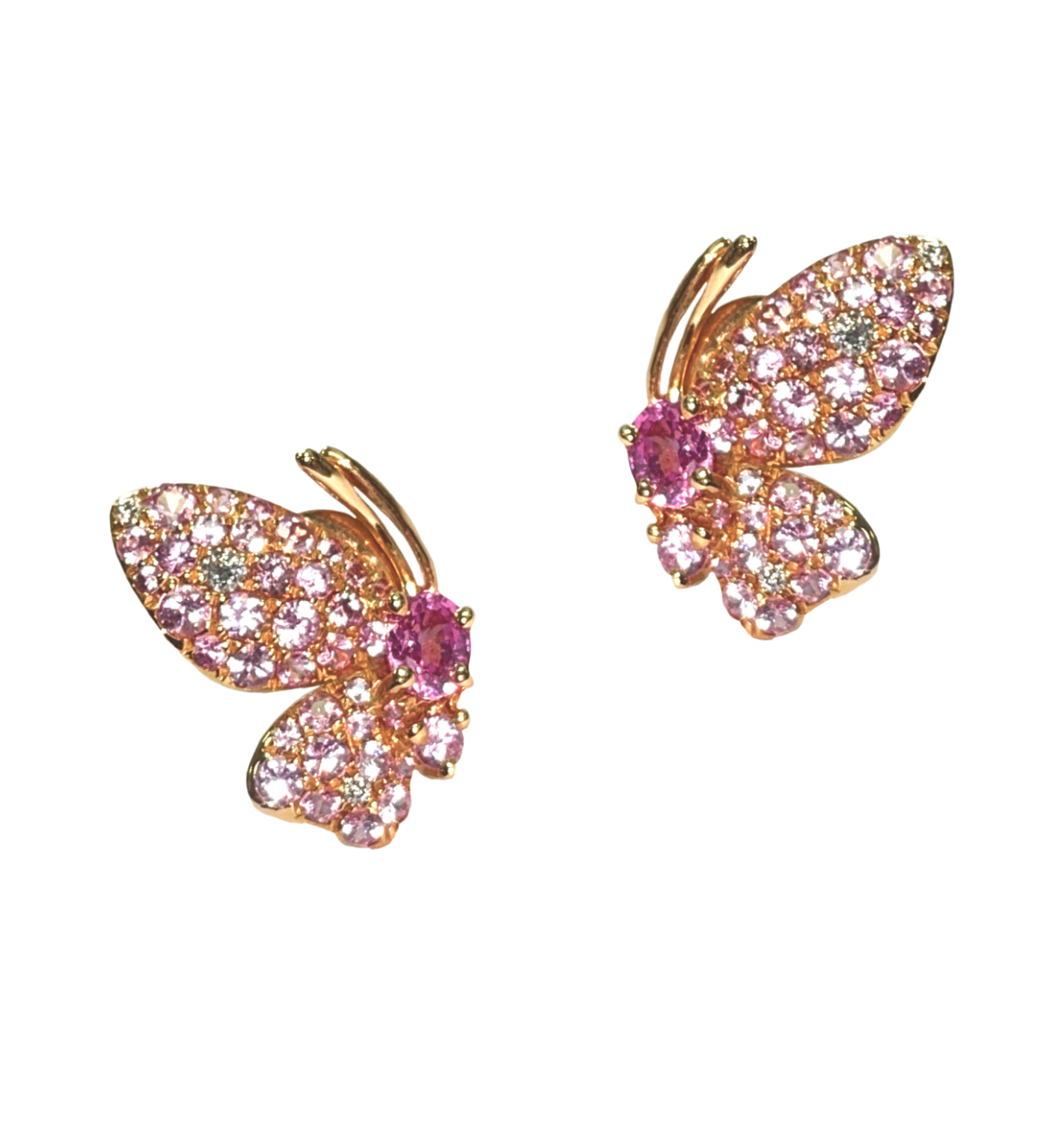 Rose Gold with White Diamond & Pink Sapphire Earrings from Butterflies Collection